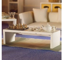Moderne salontafel                        