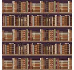 Traditional Bookcase Wallpaper                              