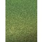 Fijn gras, groen, Javis, JFT2