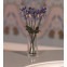 Mooie Irisbloemen, per 6 stuks., Dolls House Emporium, 4950