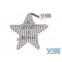 Kussentje ster a star is born, Very Important Baby, VIB-PLTSGS069