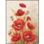 Telpakket papavers met orientaalse motieven, Vervaco, PN-0146330