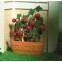 tomatenplant in pot                               , Dolls House Emporium, 4951